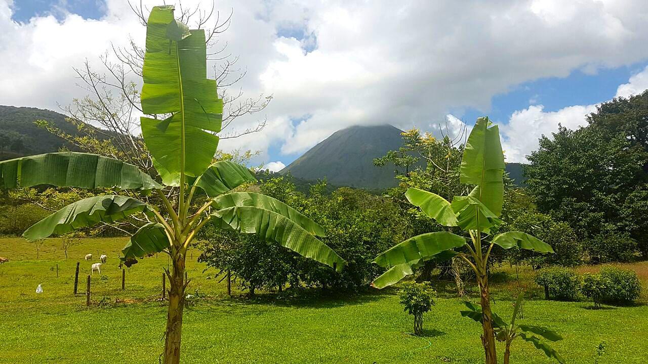 Tio Felix Eco Lodge La Fortuna Exterior foto