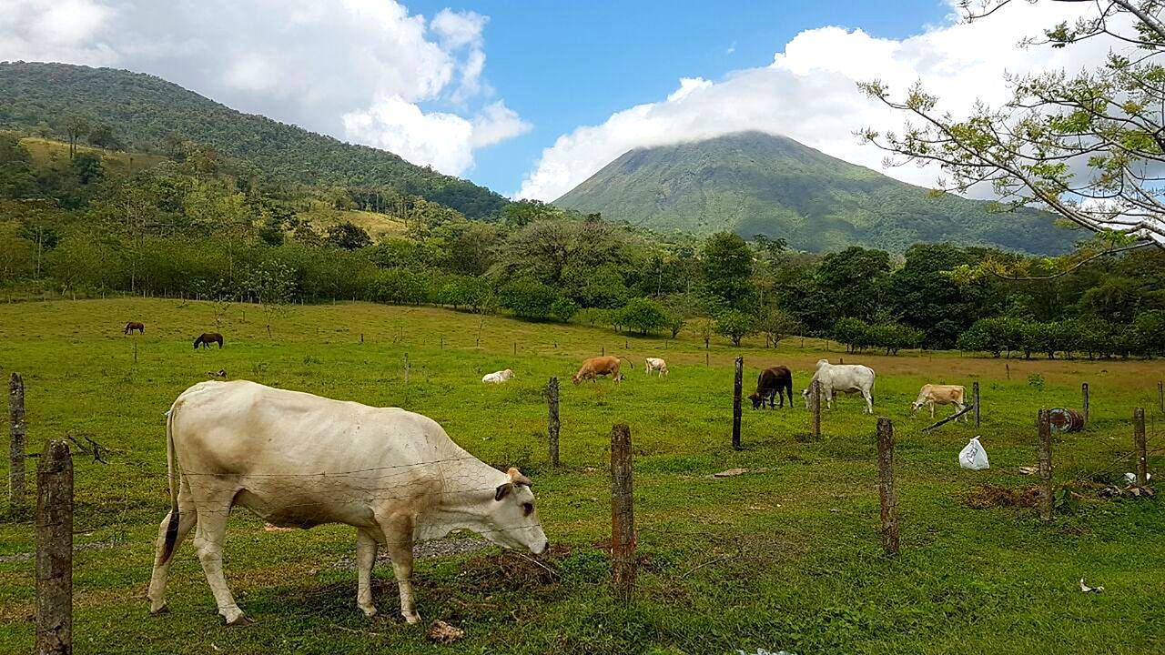 Tio Felix Eco Lodge La Fortuna Exterior foto